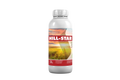 Hill-star